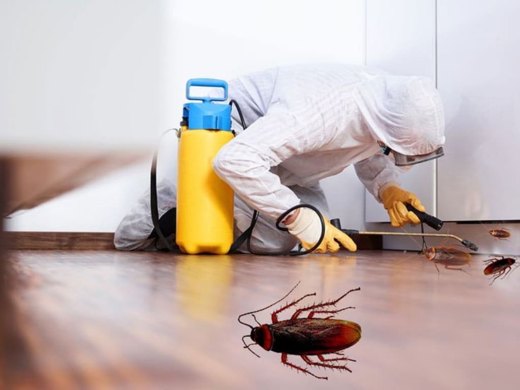 Cockroach pest control service in Delhi NCR