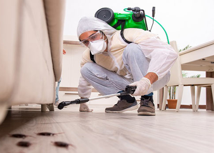 Cockroach pest control service in Delhi NCR