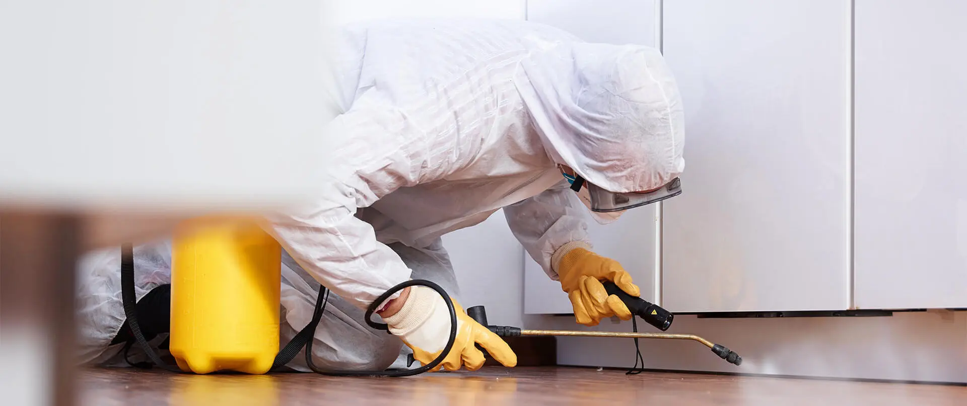 Best Pest Control Services in Delhi NCR