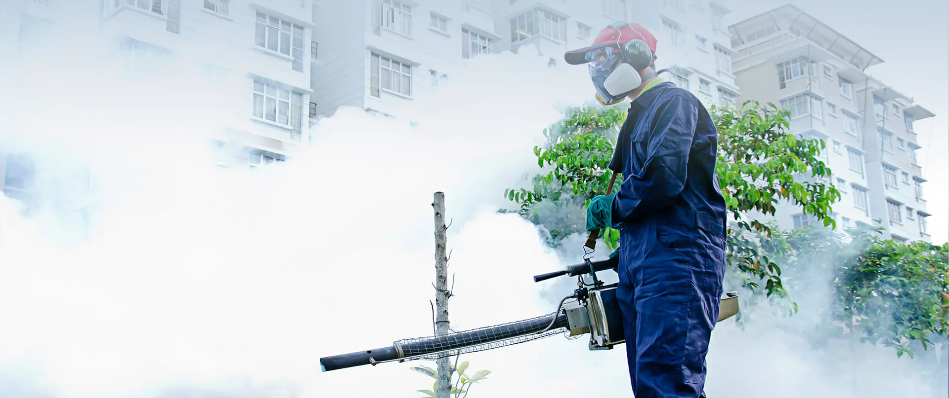 Best Pest Control Services in Delhi NCR