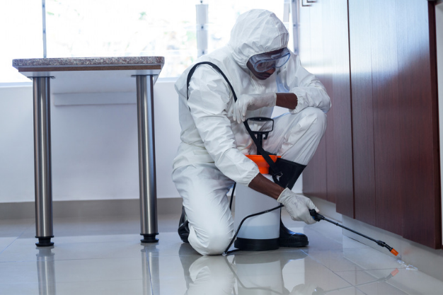 Pci Pest Machine All in One PCI | Termite Control Services in Gurgaon
